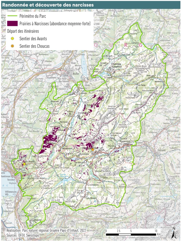 Carte randonnée découverte narcisses