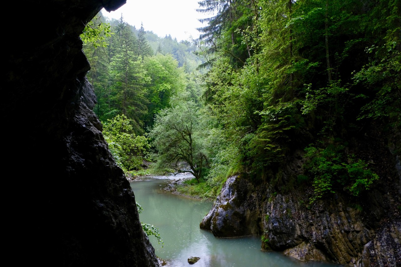 Gorges de la Jogne rivière