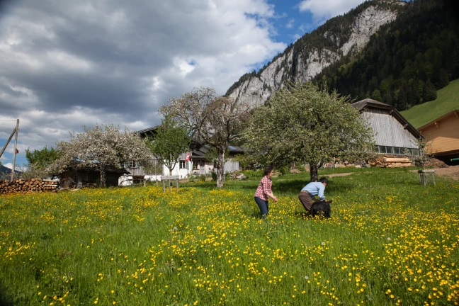 Ferme des Châbles 3