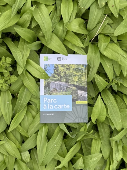 Parc à la carte 26-27_ail des ours