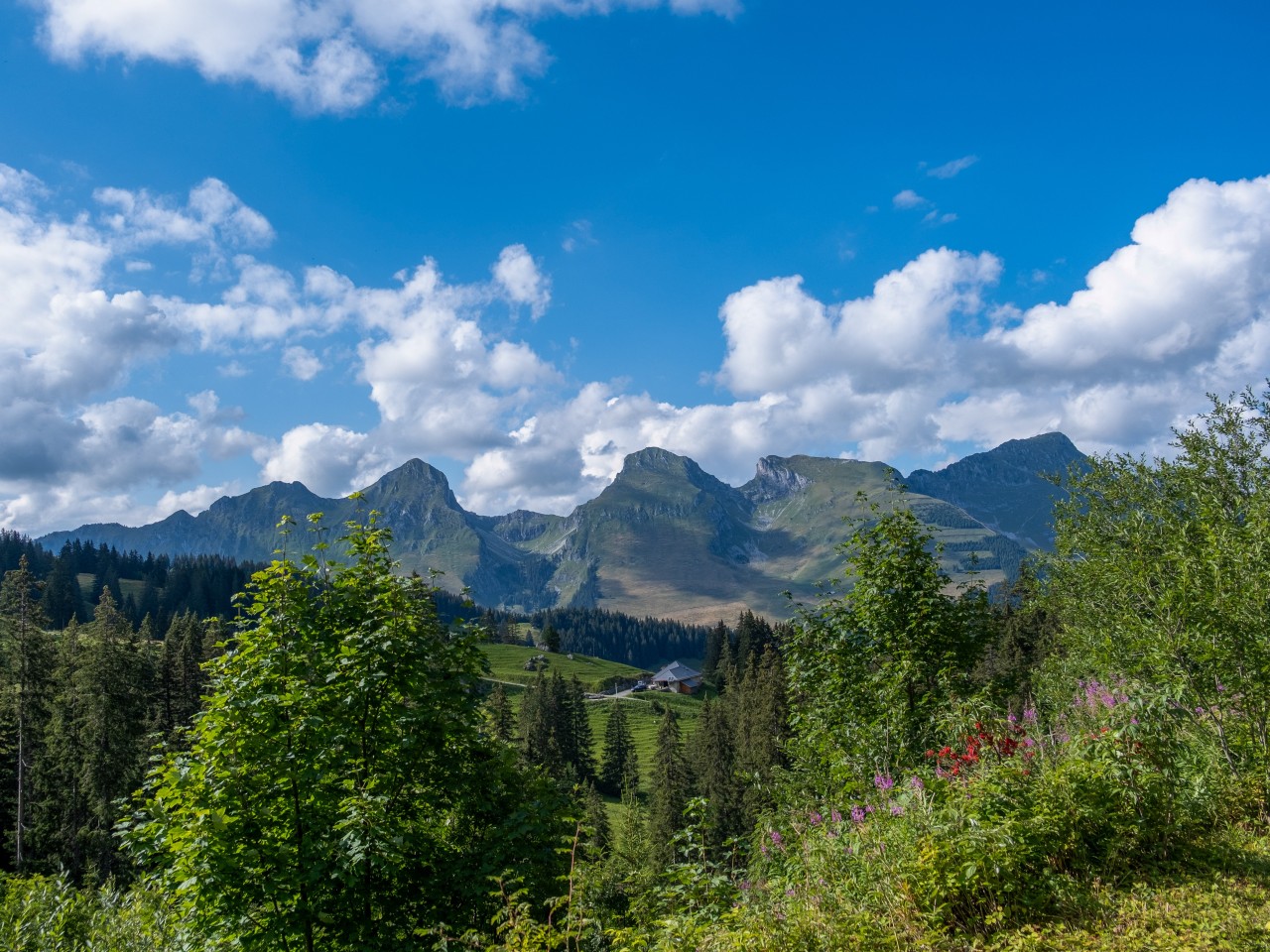 Mittelberg - Gastlosen Express 2-5168x3874