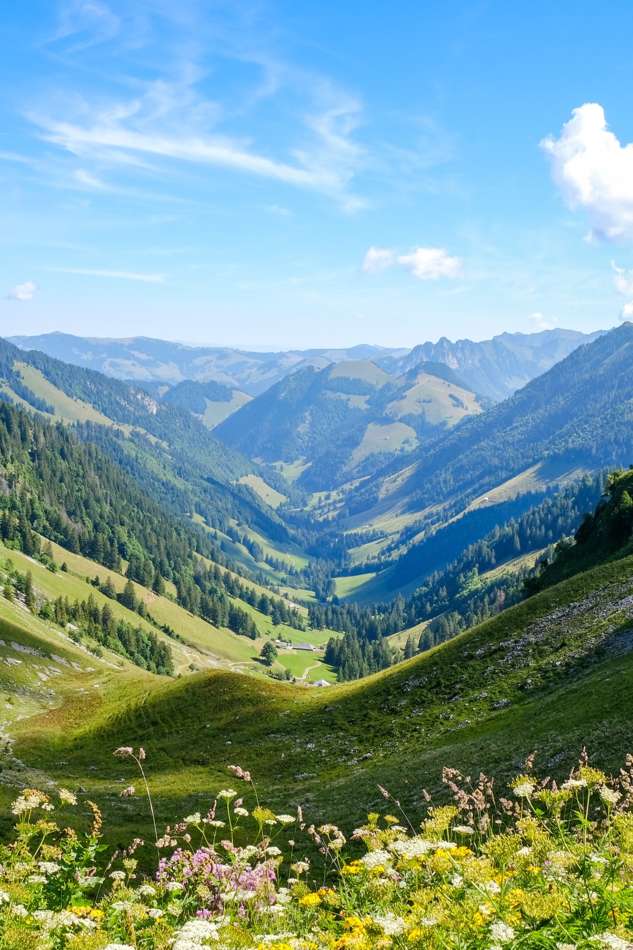 Varvalanna-2775x4160