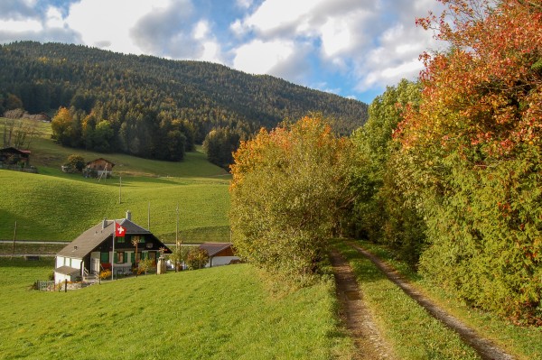 Les Combes-Château-d'Oex Les Combes forêt de la Laitemaire