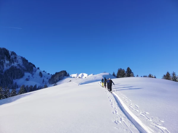 ski de randonnée et raquettes Ski de rando