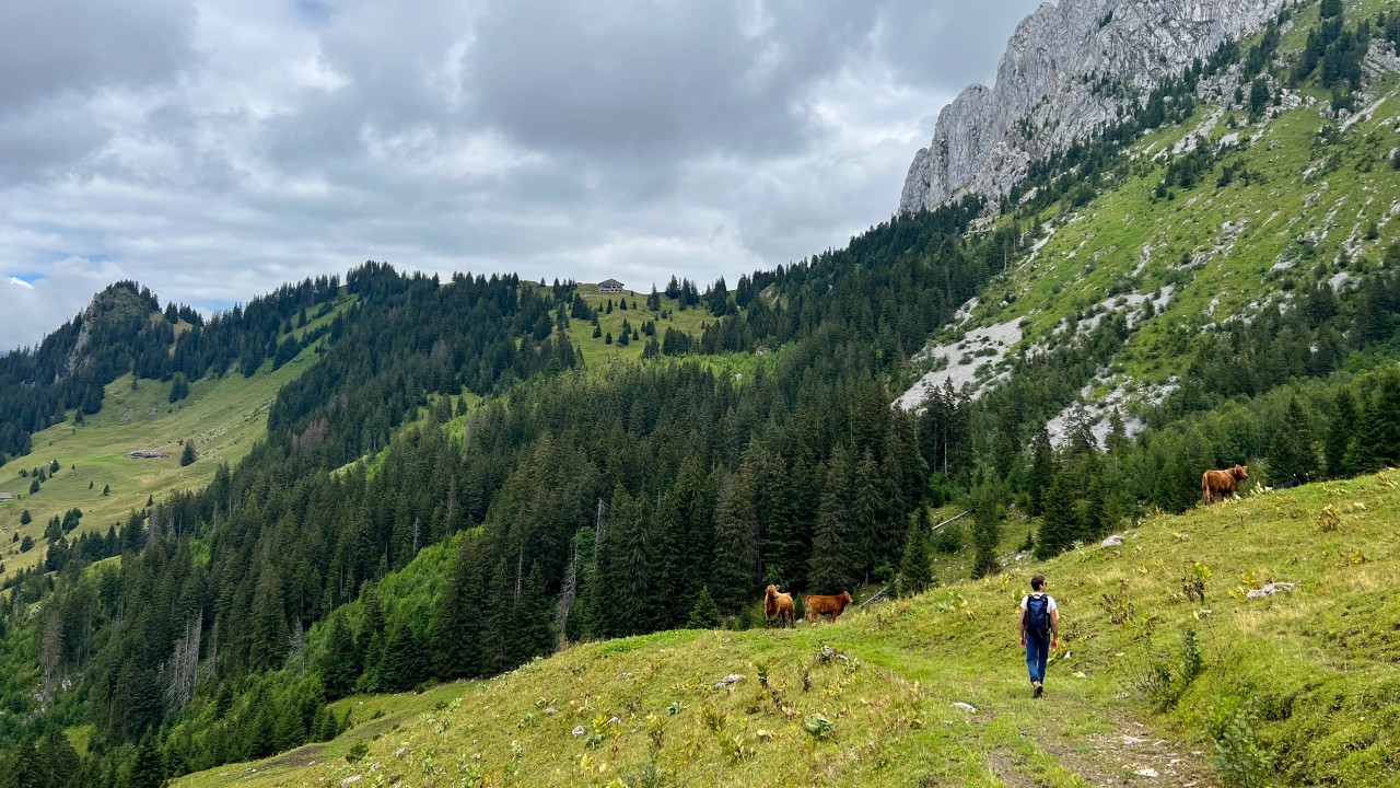 Randonneur Petit Mont-3960x2228