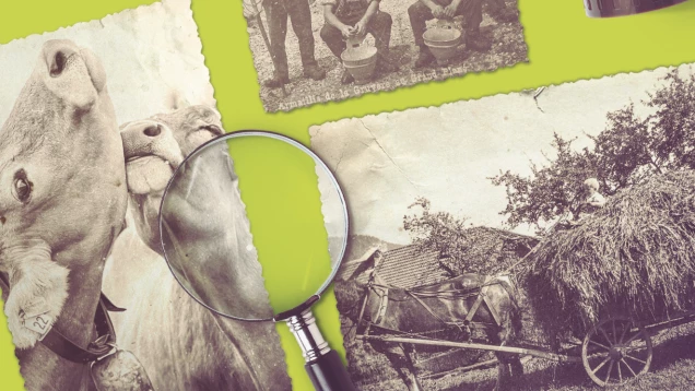 Conférences Lhistoire paysanne-1323x744