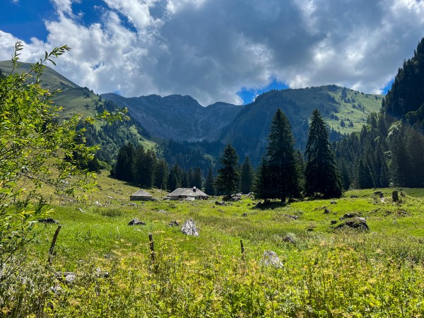l'ardille - grandvillard