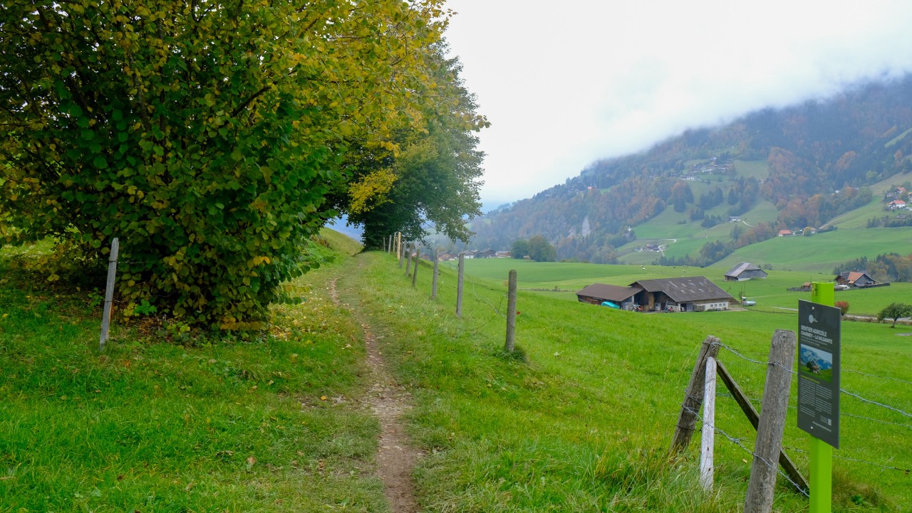 Sentier agricole Charmey-La Valsainte