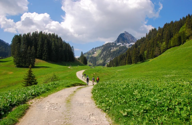 Gros Mont randonneurs-2048x1328