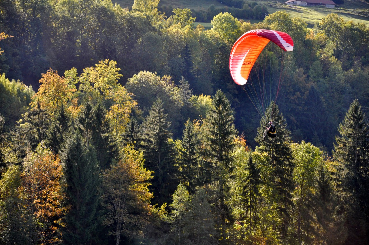 Parapente à Albeuve