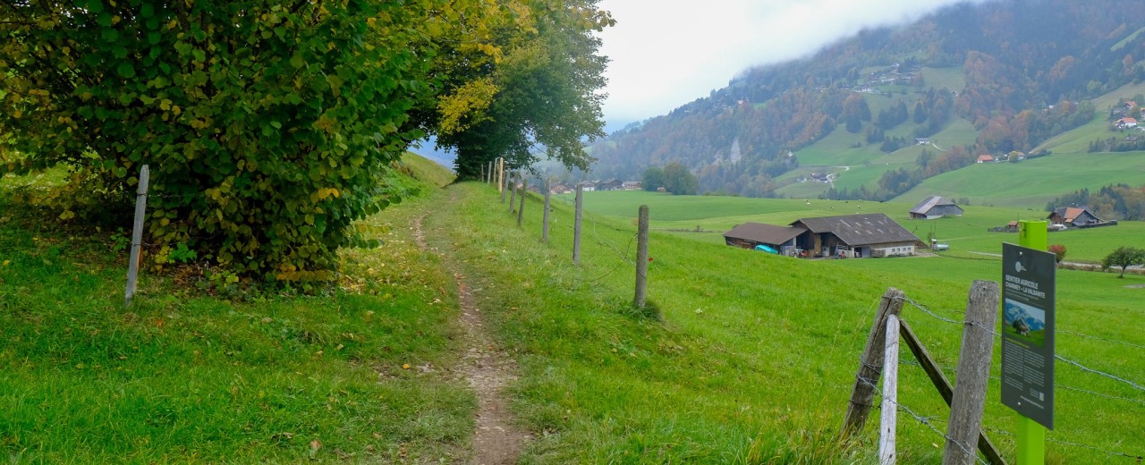Sentier agricole Charmey-La Valsainte-2048x832