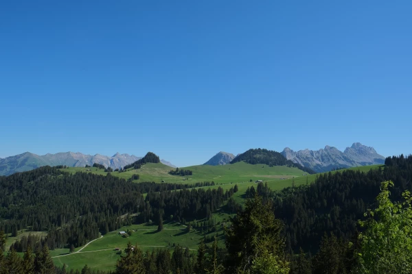 L'Etivaz – Col des Mosses L'Etivaz-Col des Mosses_3