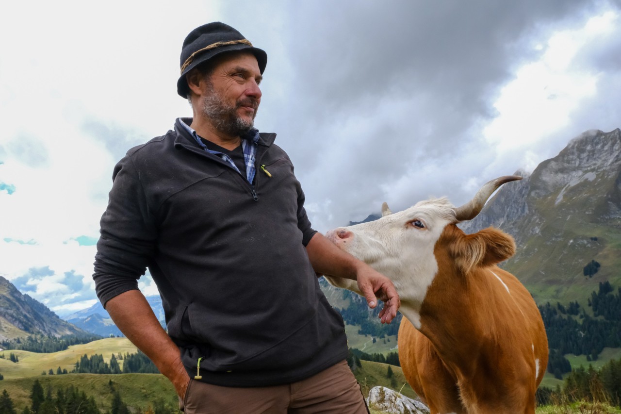 Ferme Chenaux 1