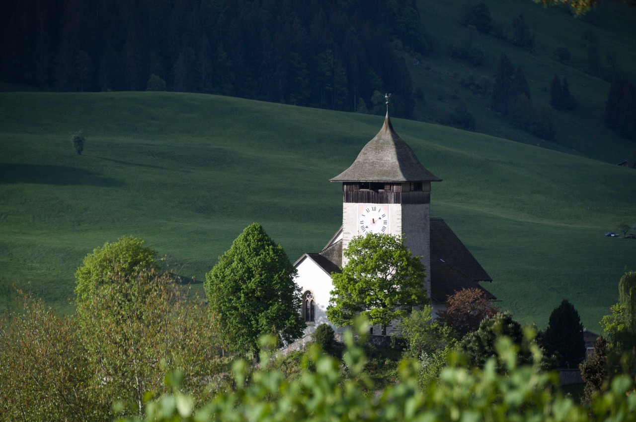 Les Combes-Château-d'Oex colline du temple