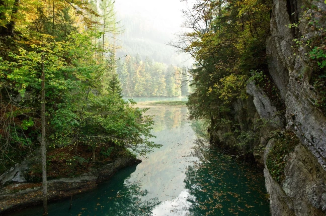 Lessoc-Montbovon lac
