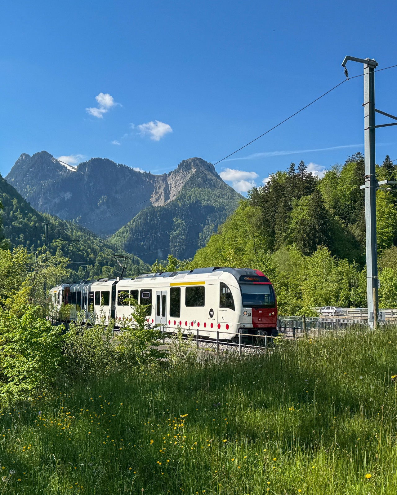 Train TPF-2573x3213