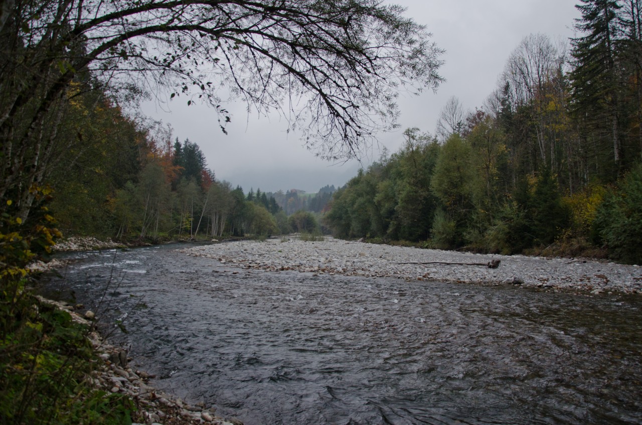Zone alluviale du Ramaclé