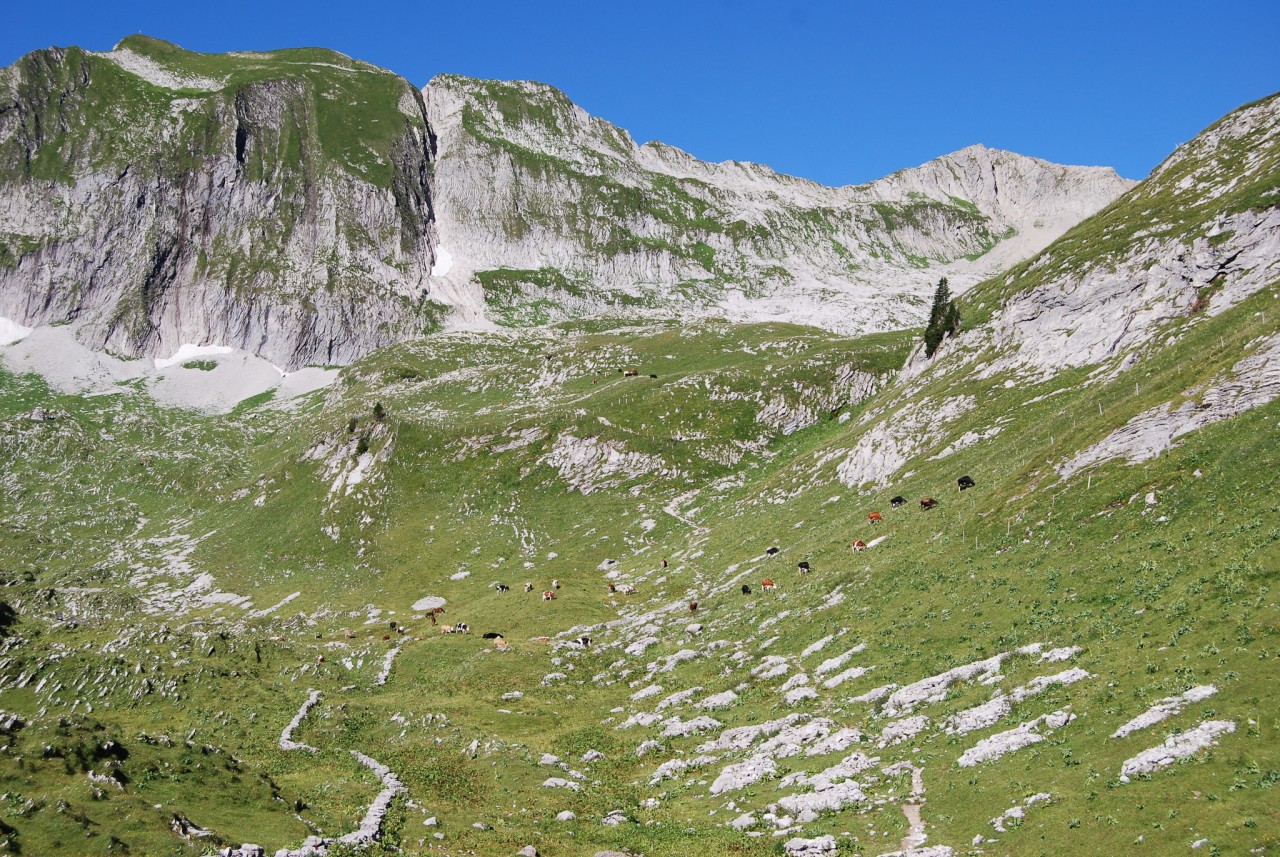 Réserve Pro Natura du Vanil Noir