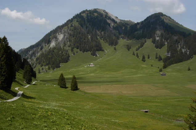 Gros Mont