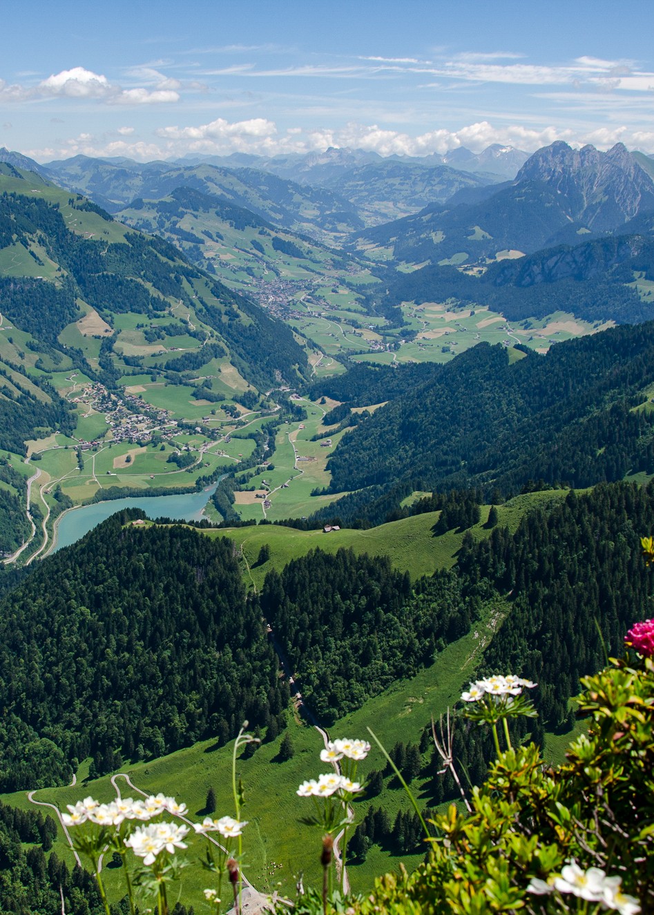 Pays-d'Enhaut – vallée-947x1325