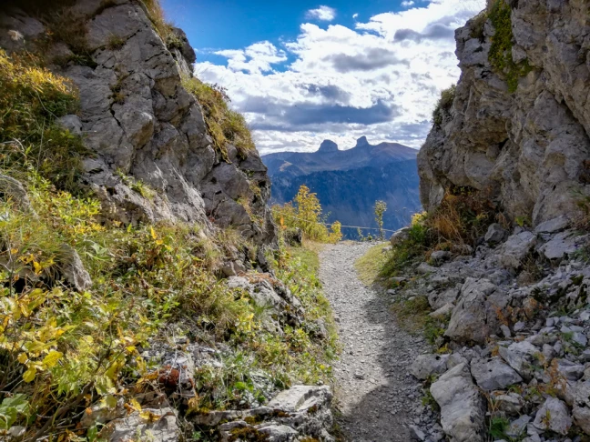 Sentier remue Sonchaux1
