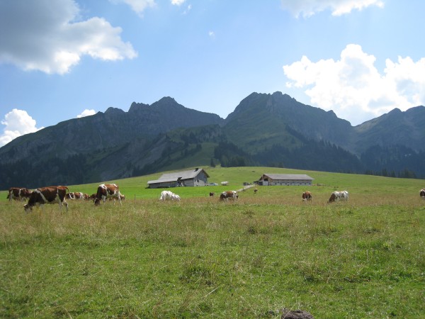 col des mosses – la lécherette