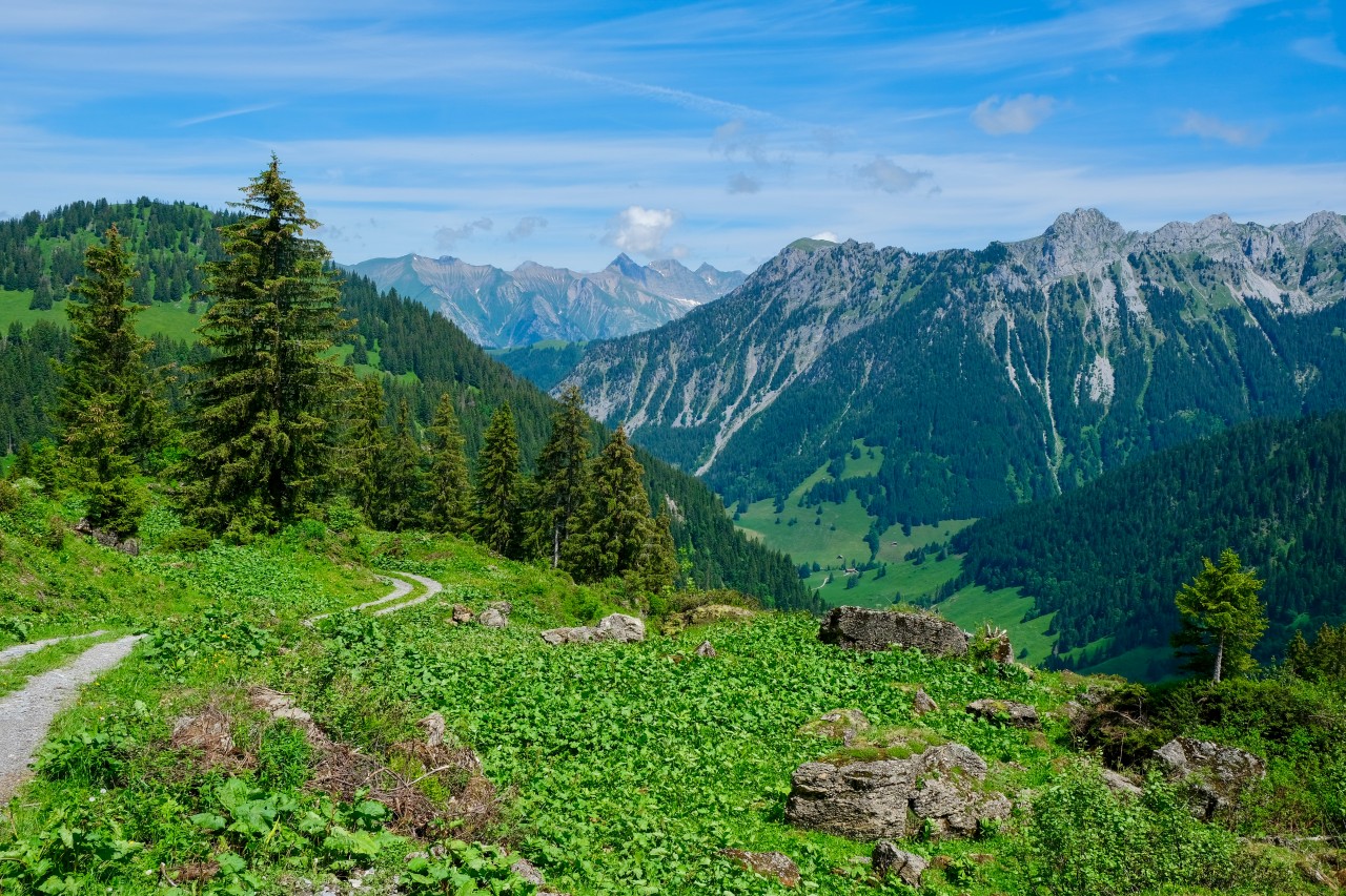 Massif de la Gummfluh depuis L'Audalle