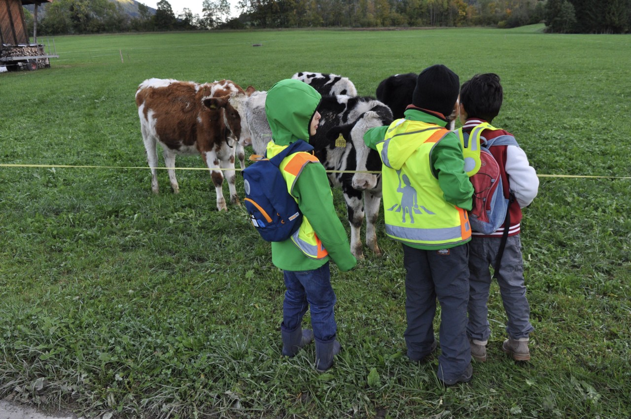 Ecole ferme