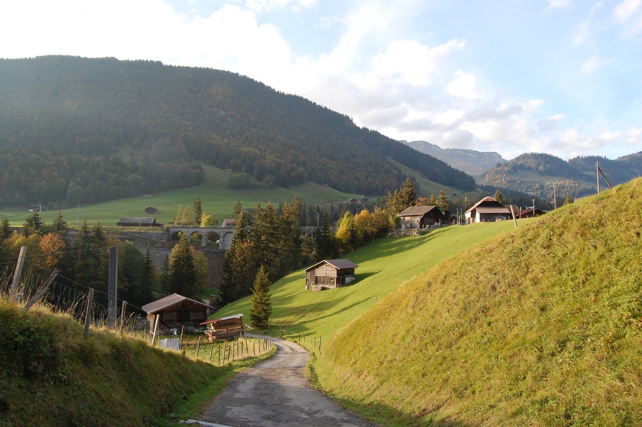 Les Combes-Château-d'Oex descente