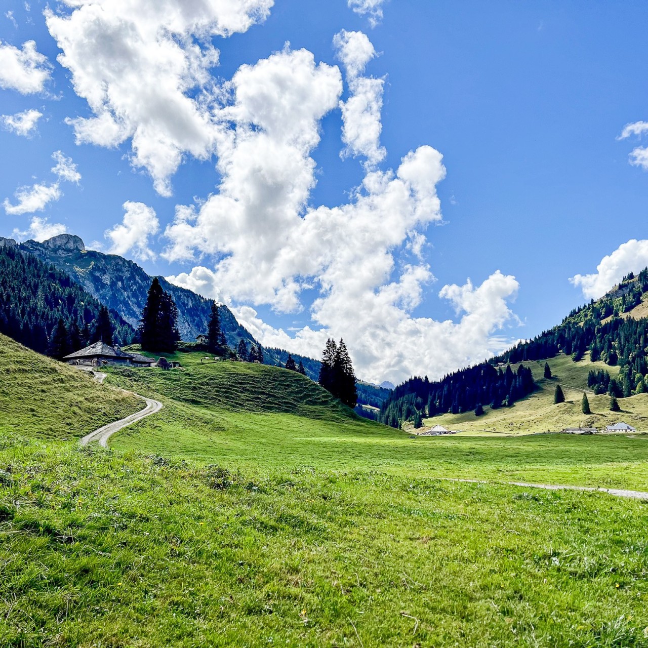 Gros Mont vallée-1536x1536