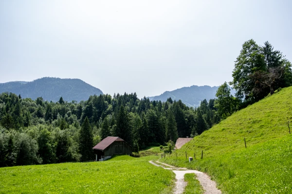 Sentier des patrimoines Jogne10