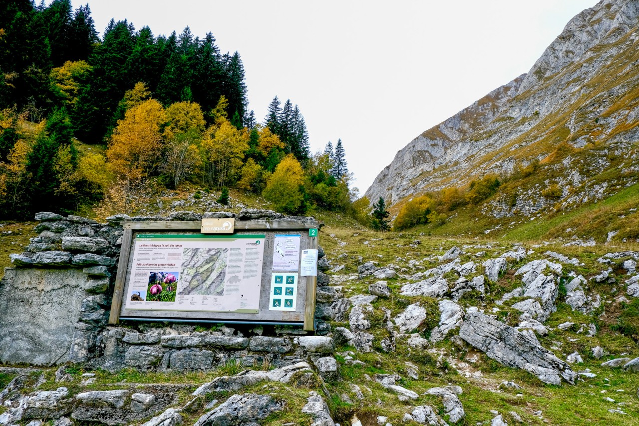 Réserve naturelle Pro Natura Vanil Noir