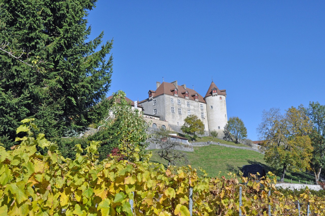 Gruyeres chateau (32)