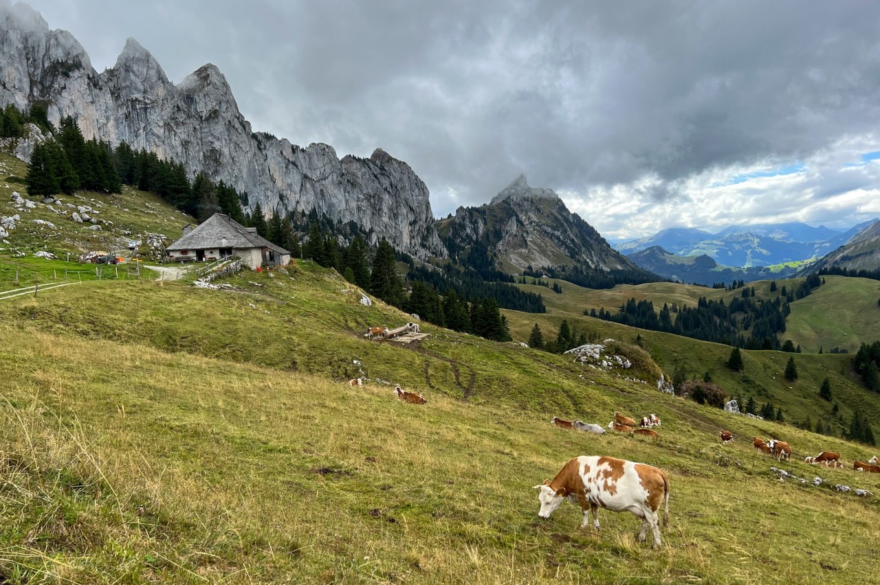 Ferme Chenaux 3-2048x1363