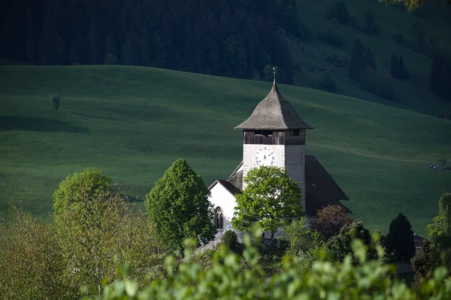 Les Combes-Château-d'Oex colline du temple