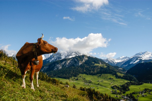 Agriculture