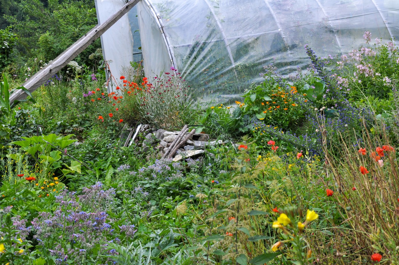 Jardin_Allieres