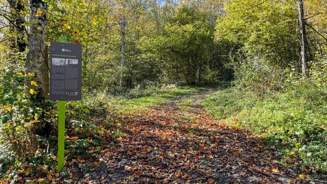 Sentier des patrimoines de la Jogne - ruines