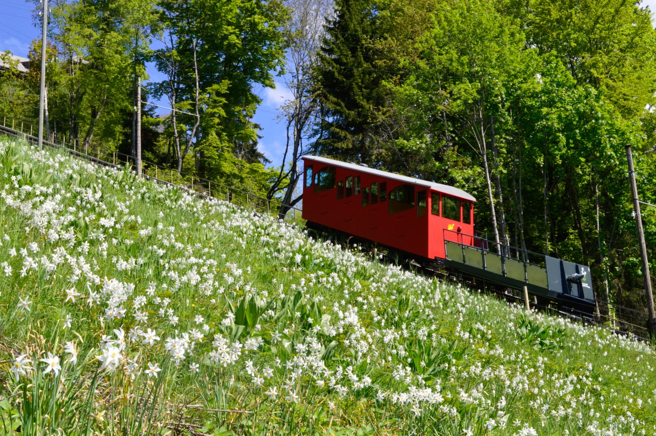 Allières-Les Avants funiculaire