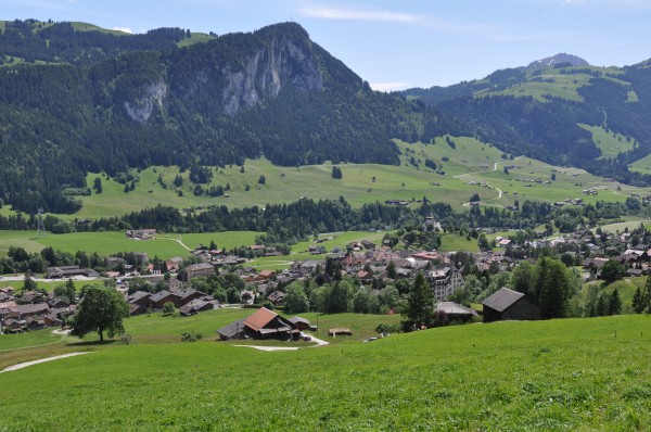 col des mosses – <br>château-d'Œx