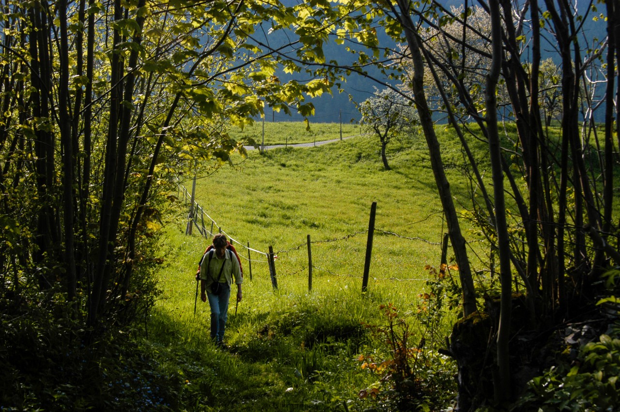 Montbovon-Allières randonneur