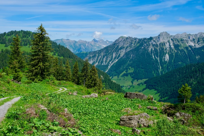 Massif de la Gummfluh depuis L'Audalle