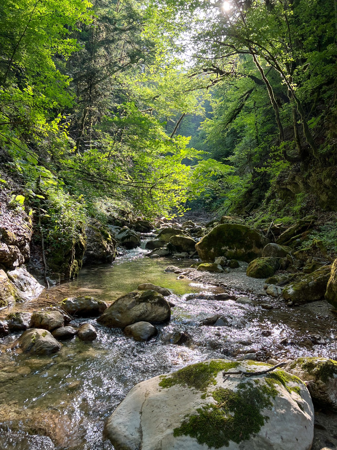 La Marivue, au bas des gorges de l'Evi