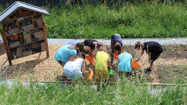 Sensibilisation école hôtel à insectes-5184x2915