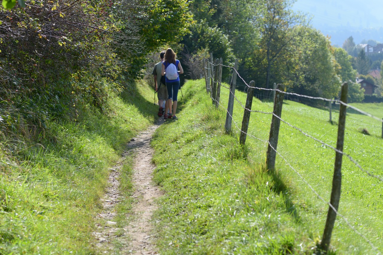 15.LA-VALSAINTE_CHARMEY_Relais_Charmey