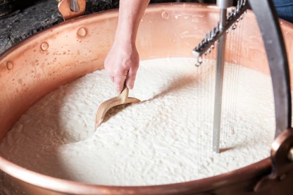 Chaudière lait caillé