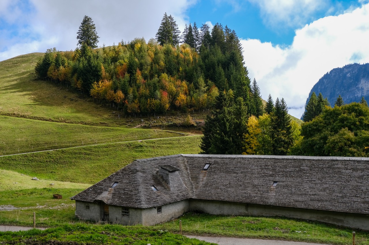 Le Mifori, vallée de l'Evi, Intyamon