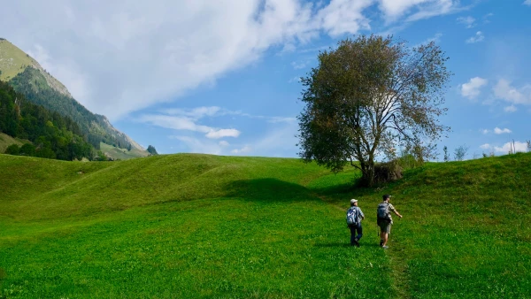 Château-d'Œx-Les Moulins Savurando