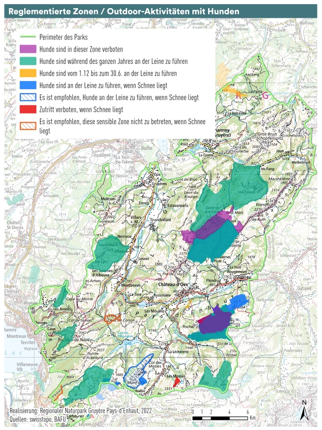 Activitäten mit Hunden