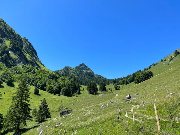 Allières-Montbovon_jaman